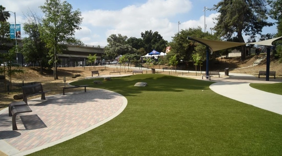 Image of Dog Park 