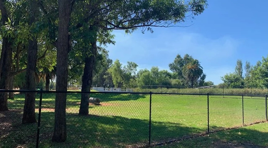 Image of Dog Park 