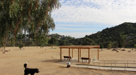 Image of Dog Park 