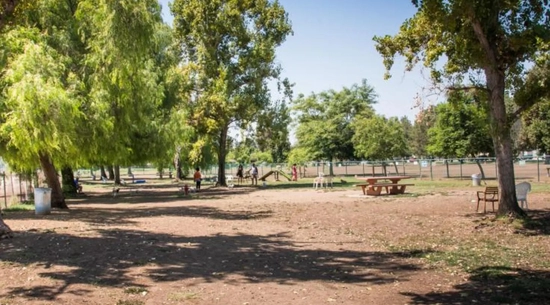Image of Dog Park 