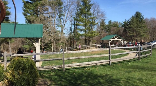 Image of Dog Park 