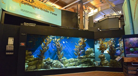 Image of inside the Cabrillo Marine Aquarium