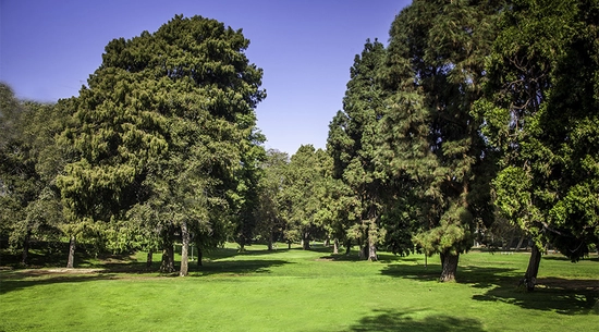 Image of Los Feliz Golf Course