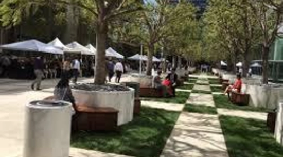 Century City Certified Farmers Market