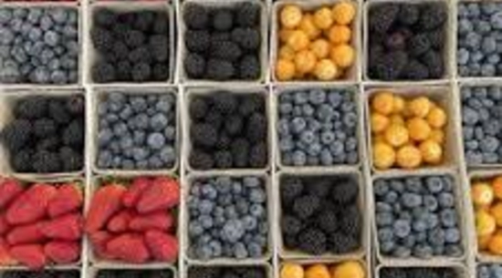 Chatsworth Farmers Market and Food Festival