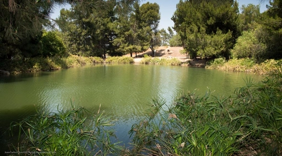 Ernest E. Debs Regional Park Hiking