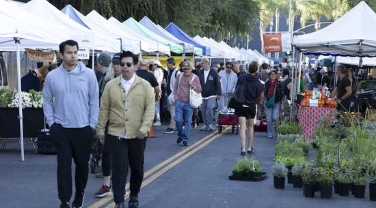 Hollywood Farmer's Market