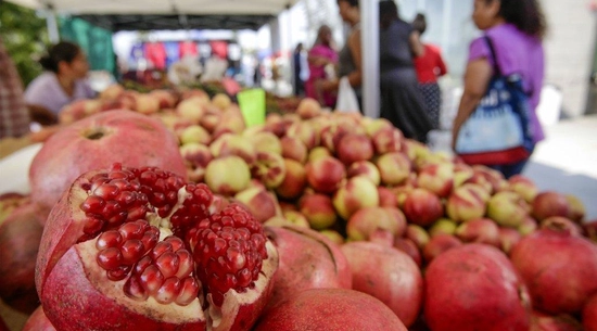 LMU Farmers Market