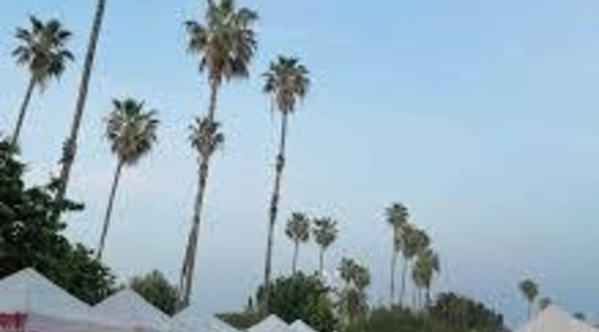 Northridge Farmers Market & Family Festival