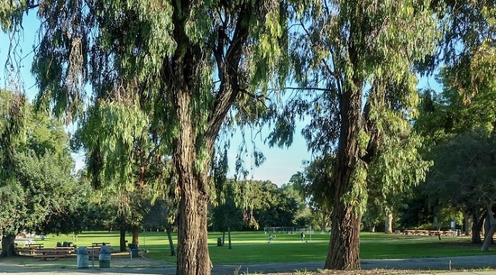 Peck Park Community Center Hiking Trail