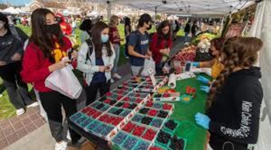 USC Hospitality Farmers Market