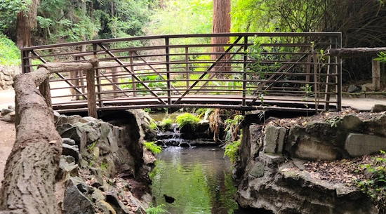 Fern Dell Nature Trail