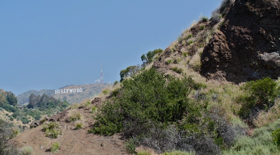 Mt. Lee