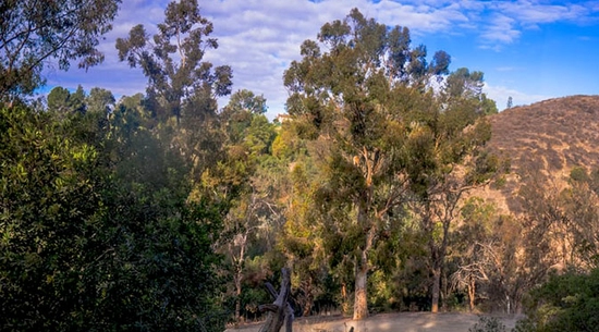 Murphy Ranch Trail